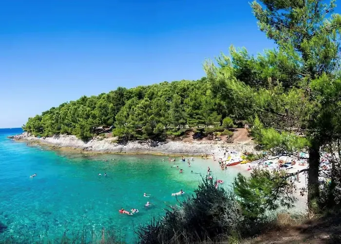 Apartment Comfy For Two *